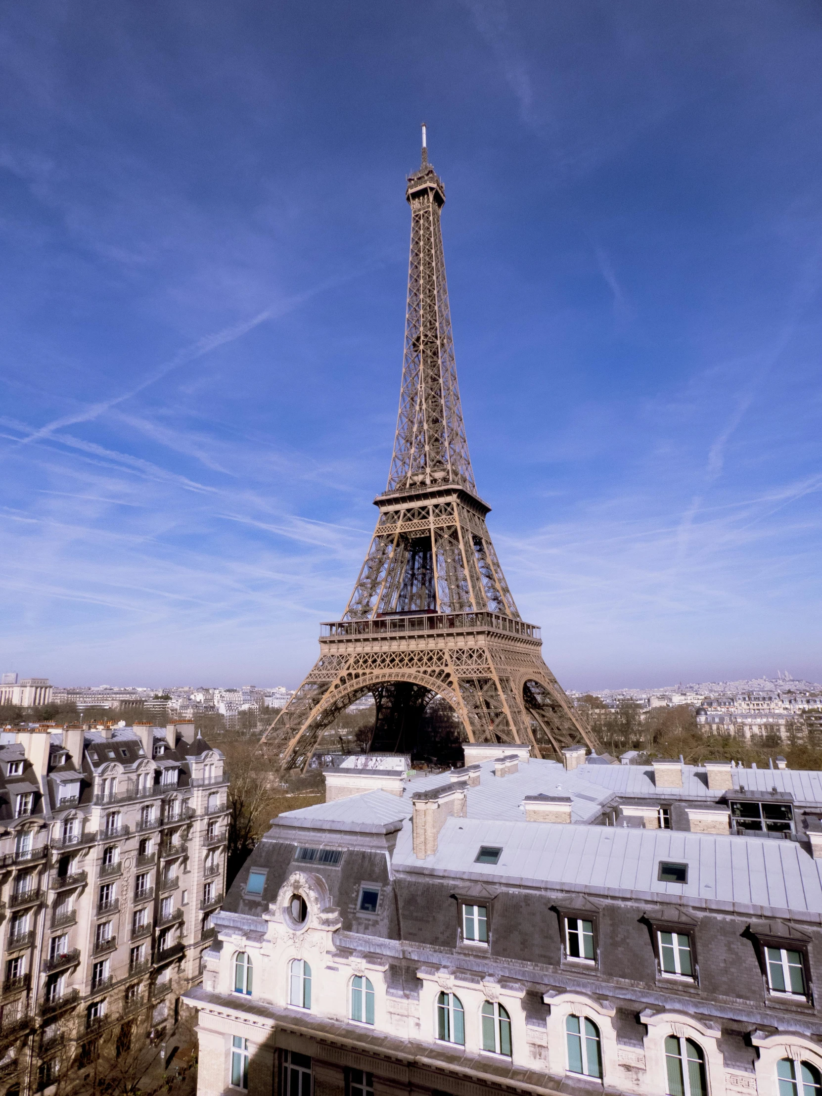the eiffel tower towering over the city of paris, a photo, pexels contest winner, paris school, slide show, wide high angle view, neoclassical tower with dome, 8 k ”