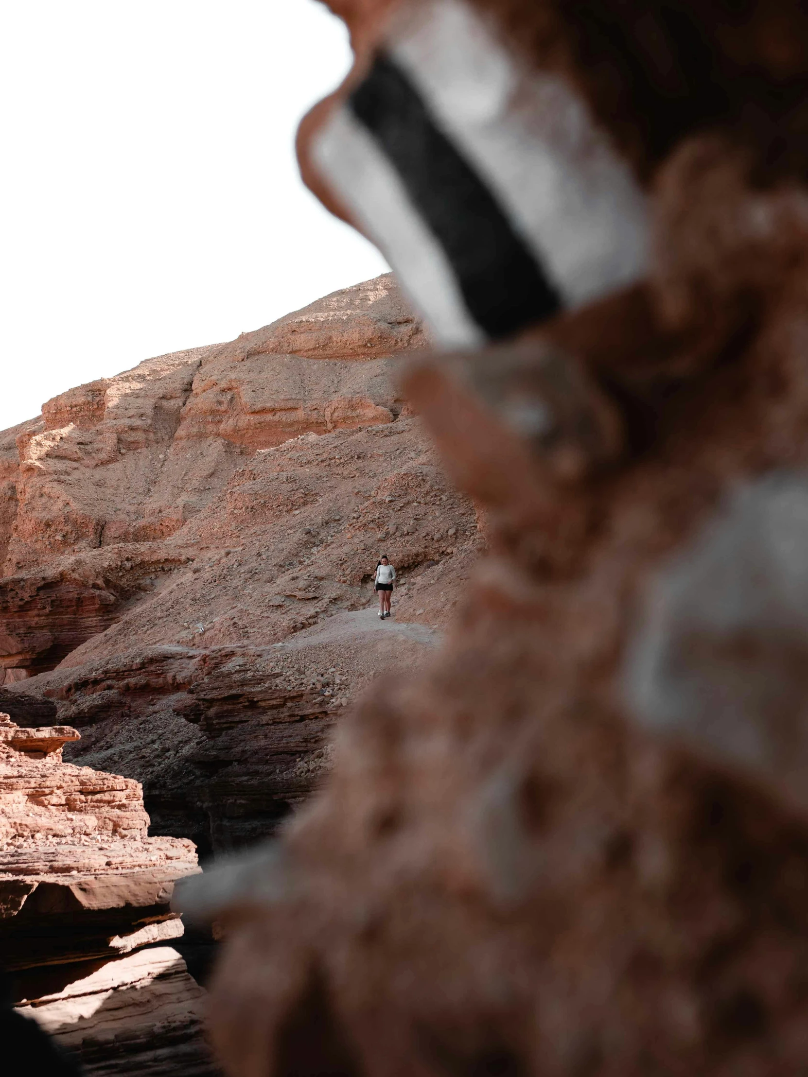 a person standing on a rock in the middle of a canyon, red sand, rock wall, zoomed out, caught on camera