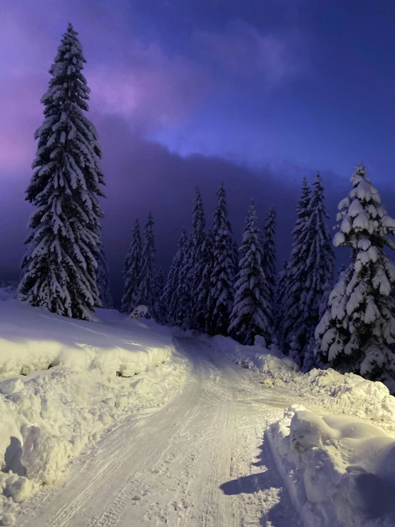 a person riding a snowboard down a snow covered slope, in a forest at night, profile image