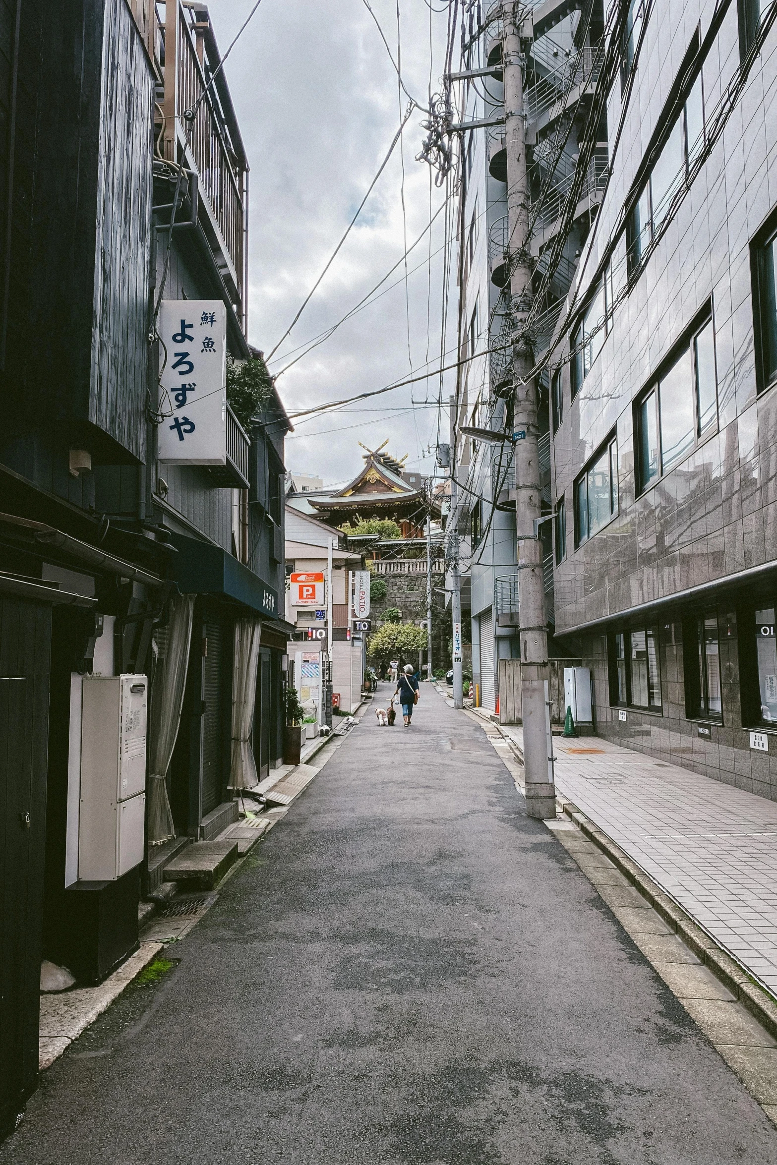 a narrow city street lined with tall buildings, a picture, unsplash contest winner, ukiyo-e, ruined town, grey, けもの, quaint