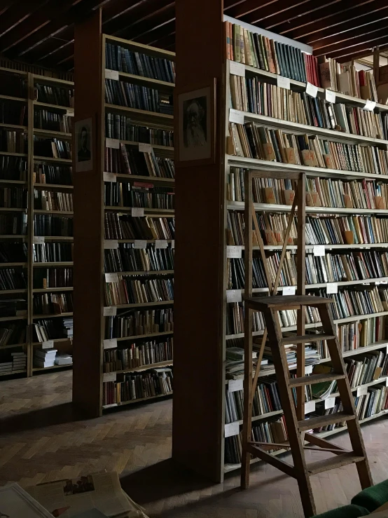 a room filled with lots of books and a ladder, an album cover, by Niko Henrichon, unsplash, russian academicism, ignant, annie liebowitz, thumbnail