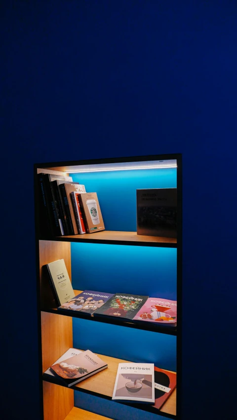 a book shelf filled with books on top of a wooden floor, inspired by Donald Judd, unsplash, light and space, blue accent lighting, glowing screen, rgb wall light, taken with sony alpha 9