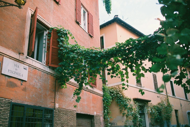 a red fire hydrant sitting in front of a building, an album cover, inspired by Romano Vio, pexels contest winner, renaissance, overgrown with lush vines, terracotta, view from the street, f 1.4 kodak portra