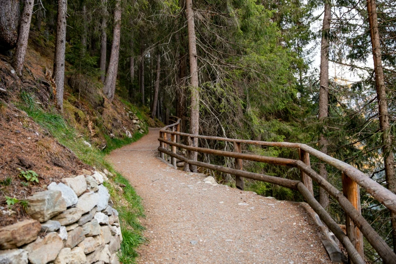 a wooden fence along a path in the woods, inspired by Jan Müller, unsplash, in the dolomites, guardrails, stone pathways, brown