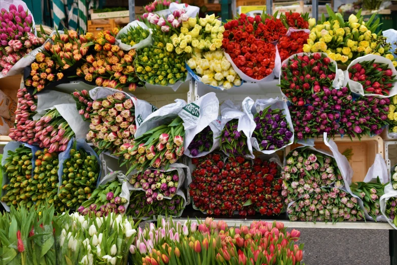 a bunch of different types of flowers on display, roses and tulips, fully covered, bustling, instagram post