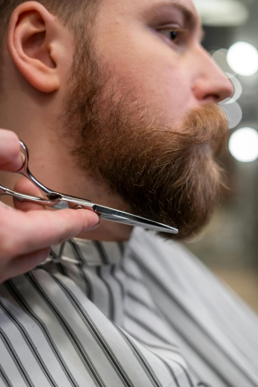 a man getting his hair cut at a barber shop, short scruffy beard, up close, reddish beard, paul barson