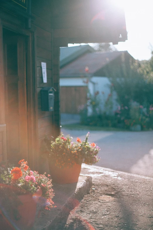 a couple of potted plants sitting on the side of a building, a picture, by Tobias Stimmer, unsplash, cottage close up, light coming from the entrance, sunflares;back to camera, flowery cottage