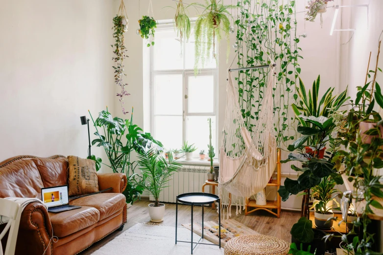 a living room filled with furniture and lots of plants, inspired by Elsa Bleda, unsplash contest winner, things hanging from ceiling, green and brown tones, cream - colored room, slightly minimal