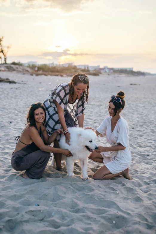 a group of people sitting on top of a sandy beach, puppies, alena aenami and lilia alvarado, three women, marbella