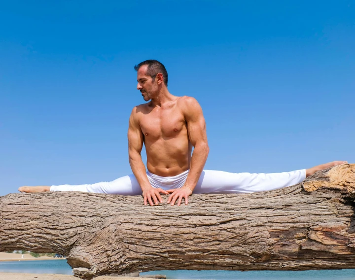 a man is sitting on a log on the beach, arabesque, natural physique, avatar image