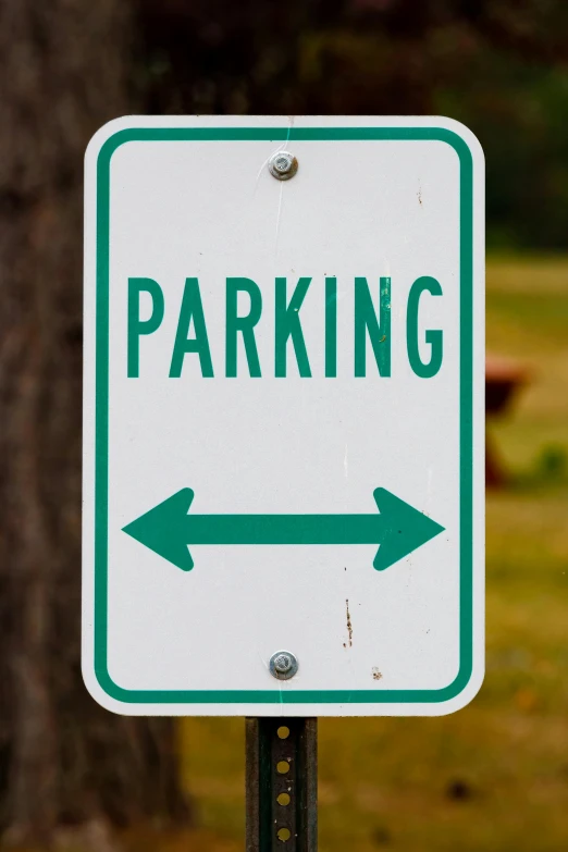 a green and white parking sign next to a tree, by Lynn Pauley, pexels, happening, square, arrow, white, two