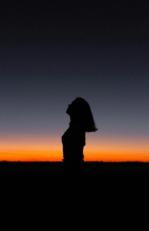 a silhouette of a woman standing in a field at sunset, pexels, avatar image, uploaded, profile picture, low angle photo