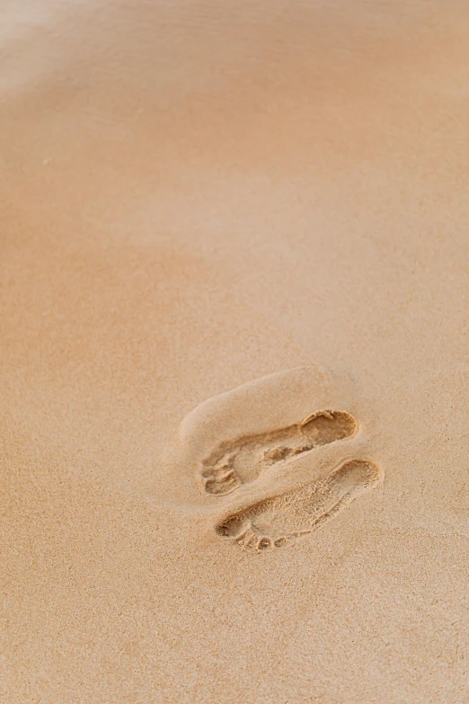 a pair of footprints in the sand on a beach, by Andries Stock, symbolism, 15081959 21121991 01012000 4k, sandy colours, minimal composition, without duplicate image