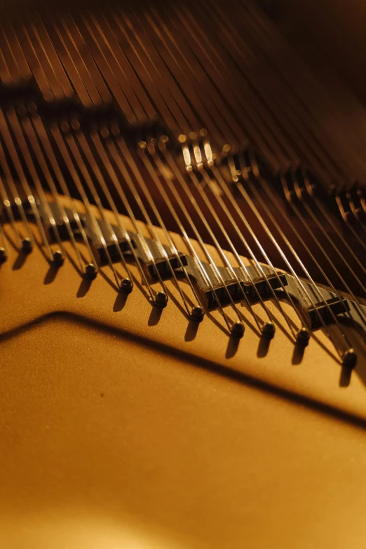 a close up of the strings of a piano, by David Simpson, mechanical wings, soft lighting from above, brown, close - up photograph