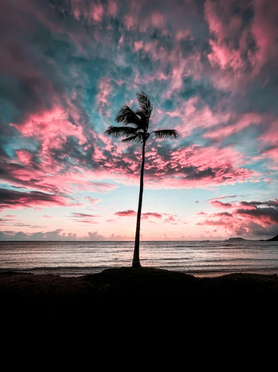 a palm tree sitting on top of a sandy beach, by Robbie Trevino, pexels contest winner, dramatic pink clouds, hawaii, multiple stories, snapchat photo