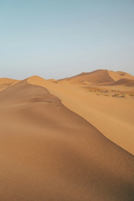 a person riding a horse in the desert, les nabis, seen from afar, victorian arcs of sand, really long, sand banks