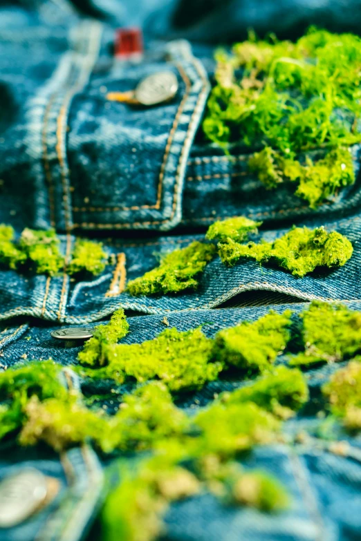 a pair of jeans with moss growing on them, an album cover, inspired by Elsa Bleda, trending on pexels, environmental art, detail shot, overalls, vivid and detailed, having a good time