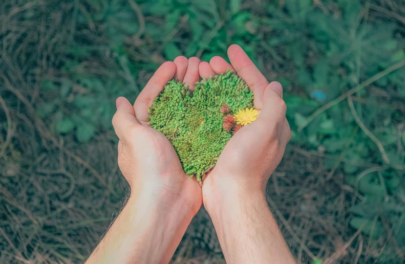 a person holding a piece of grass in their hands, pexels contest winner, environmental art, heart made of flowers, avatar image, patches of moss, 2 0 2 2 photo