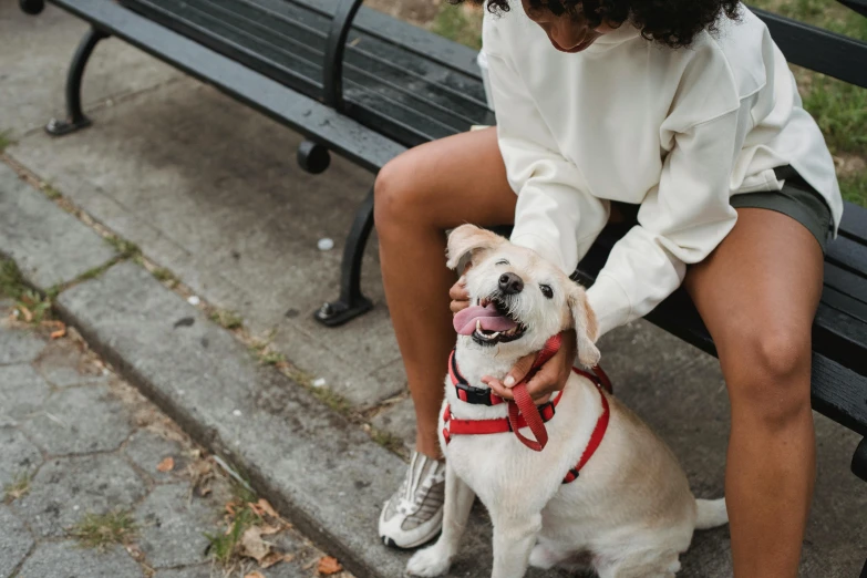 a woman sitting on a bench petting a dog, trending on unsplash, happening, harnesses, white, pokimane, smile