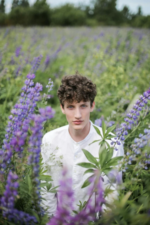 a young man standing in a field of purple flowers, an album cover, by Winona Nelson, renaissance, caspar david, curls, ignant, a handsome