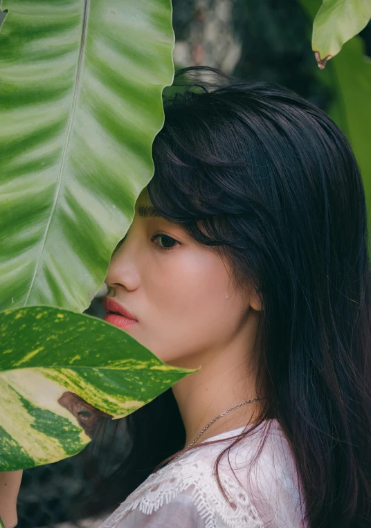 a woman holding a large leaf in front of her face, an album cover, inspired by Jung Park, pexels contest winner, bae suzy, profile image, lush environment, headshot profile picture