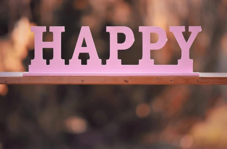 a pink happy sign sitting on top of a wooden bench, inspired by Peter Alexander Hay, trending on unsplash, laser cut, medium close up, happy lighting, a still of a happy