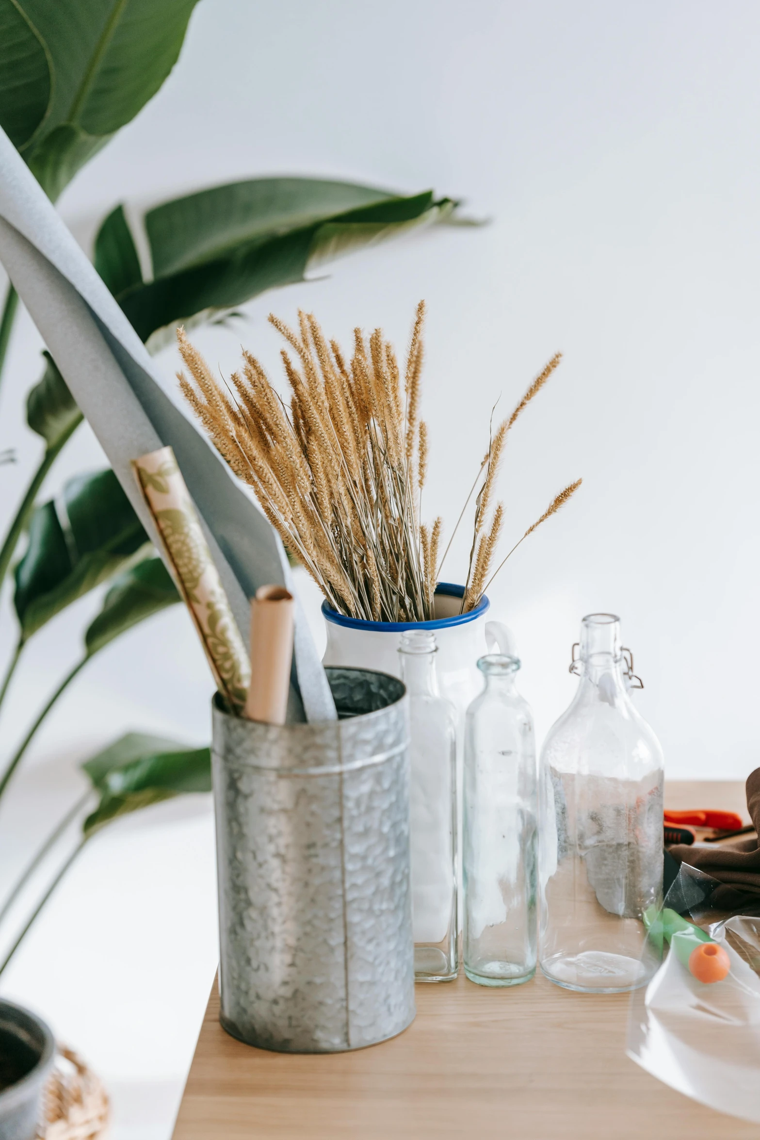 a close up of a plate of food on a table, a still life, trending on unsplash, arts and crafts movement, plant forest in glass tubes, white broom closet, tools and junk on the ground, high resolution product photo