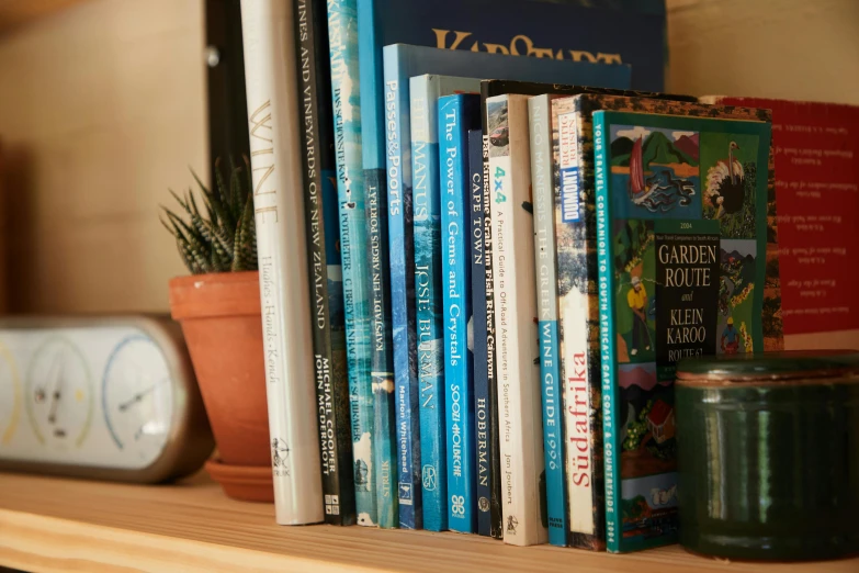 a shelf filled with books and a clock, inspired by Tove Jansson, unsplash, arts and crafts movement, warm shades of blue, gardening, low-angle shot, charles vess and thomas kinkade