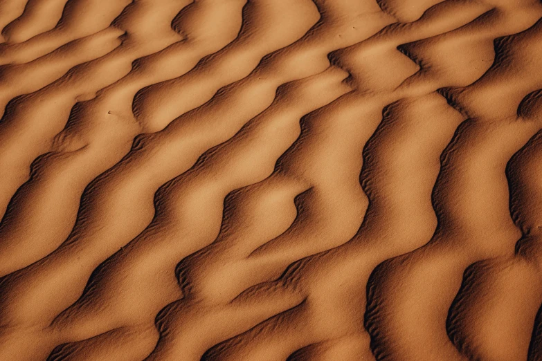 a close up of a sand dune in the desert, by Daniel Lieske, pexels contest winner, op art, muted brown, honey ripples, sandstone, tans