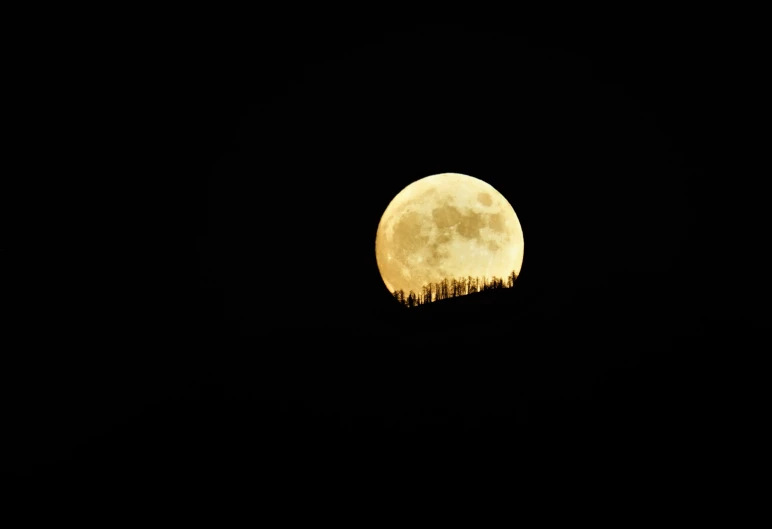 a full moon with trees in the background, by Jan Rustem, yellow, shot on sony alpha dslr-a300, big white moon background, 4 0 0 mm