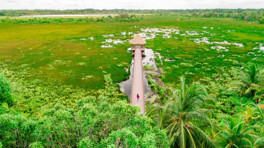 a tall tower sitting in the middle of a lush green field, by Sam Dillemans, pexels contest winner, hurufiyya, boardwalk, cambodia, panoramic view of girl, marsh