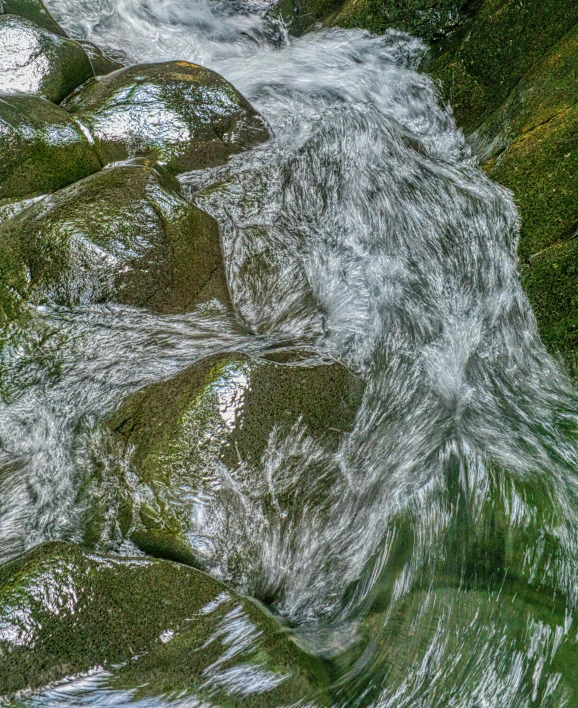 a stream running through a lush green forest, an album cover, by Slava Raškaj, pexels contest winner, hurufiyya, water ripples, wet rocks, full frame image, bottom view