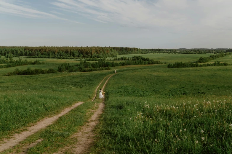 a person walking down a dirt road in a field, by Grytė Pintukaitė, pexels contest winner, land art, in a large grassy green field, russia, long view, instagram post