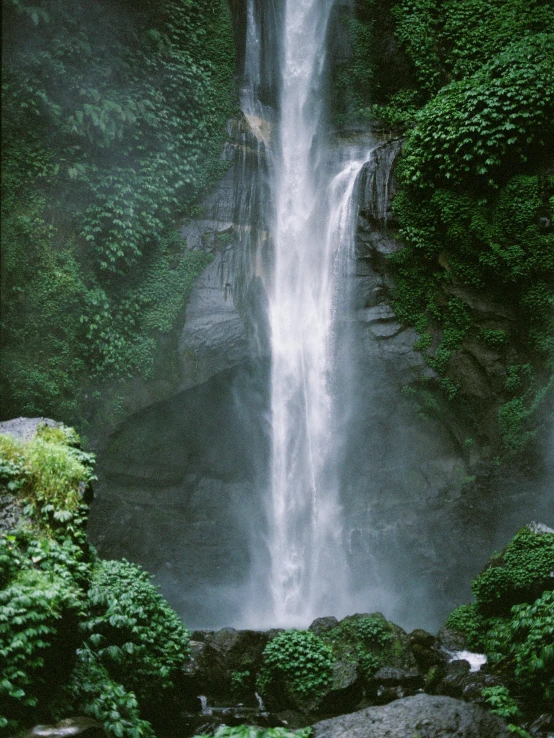 a waterfall in the middle of a lush green forest, an album cover, pexels contest winner, sumatraism, fuji superia, full frame image, grey, color image