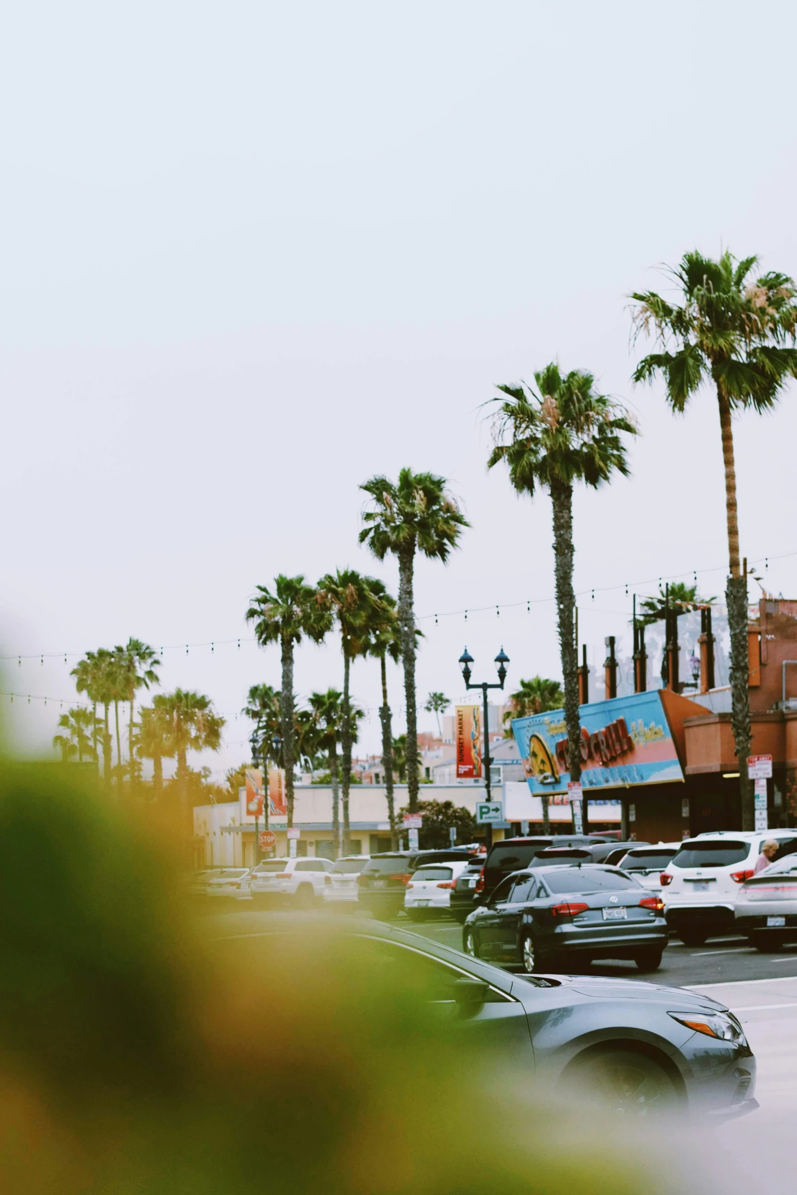 a man riding a skateboard down the side of a road, by Ryan Pancoast, trending on unsplash, with potted palm trees, lots of shops, 5 hotrods driving down a street, panoramic view of girl