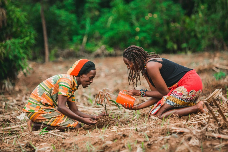 a couple of women standing next to each other in a field, digging, baobab trees, sustainability, avatar image