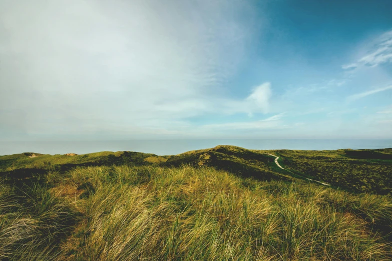 a grassy field with tall grass and the ocean in the background, by Matthias Stom, unsplash, happening, downhill landscape, moorland, thumbnail, dunes