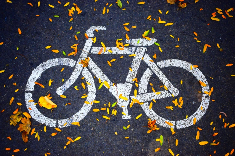 a bicycle lane with leaves on the ground, by Carey Morris, unsplash, graffiti, square, edible, pictogram, blank
