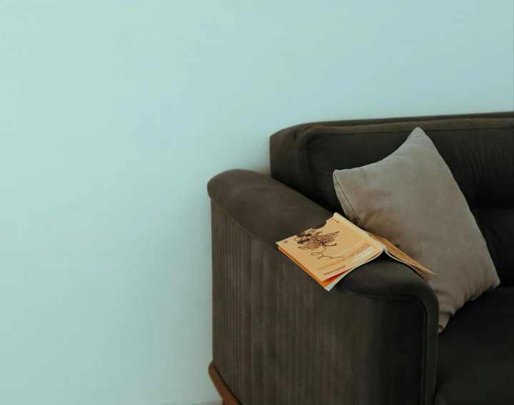 a black couch with a book on top of it, by Elsa Bleda, pexels contest winner, brown and cyan color scheme, soft render, modeled, on a pale background