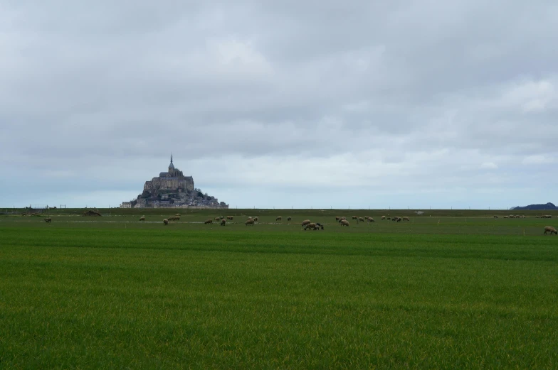 a herd of sheep grazing on a lush green field, unsplash, les nabis, cathedral in the background, on the coast, 2000s photo