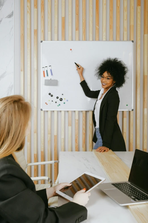 two women sitting at a table in front of a whiteboard, pexels contest winner, giving a speech, cubical meeting room office, photo of a black woman, charts