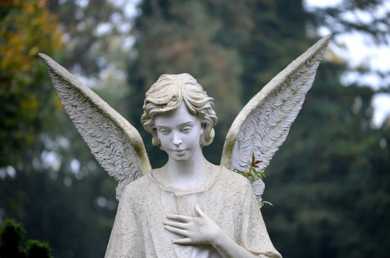 a statue of an angel in a cemetery, pixabay, paul barson, distant photo, with real wings, 2000s photo