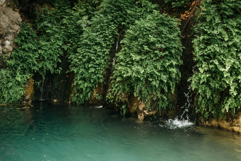 a waterfall in the middle of a body of water, an album cover, inspired by Elsa Bleda, pexels contest winner, hurufiyya, overgrown lush plants, cypress trees, teal aesthetic, natural cave wall