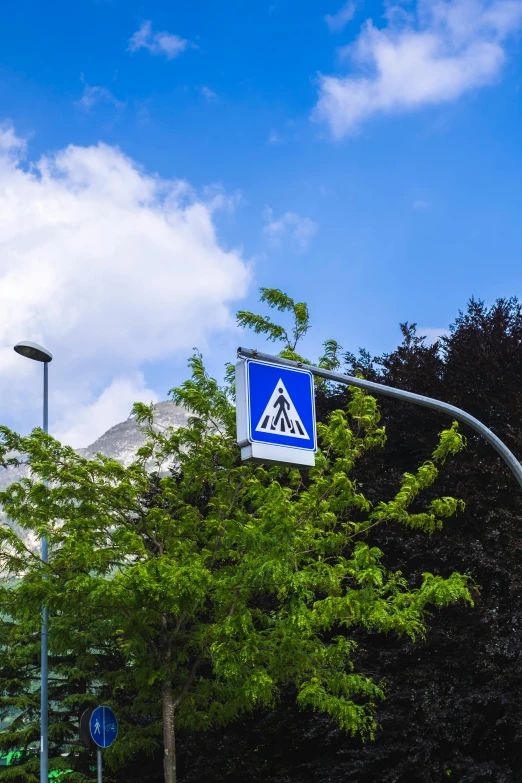 a blue street sign sitting on the side of a road, next to a tree, pictogram, arhitectural shot, cars