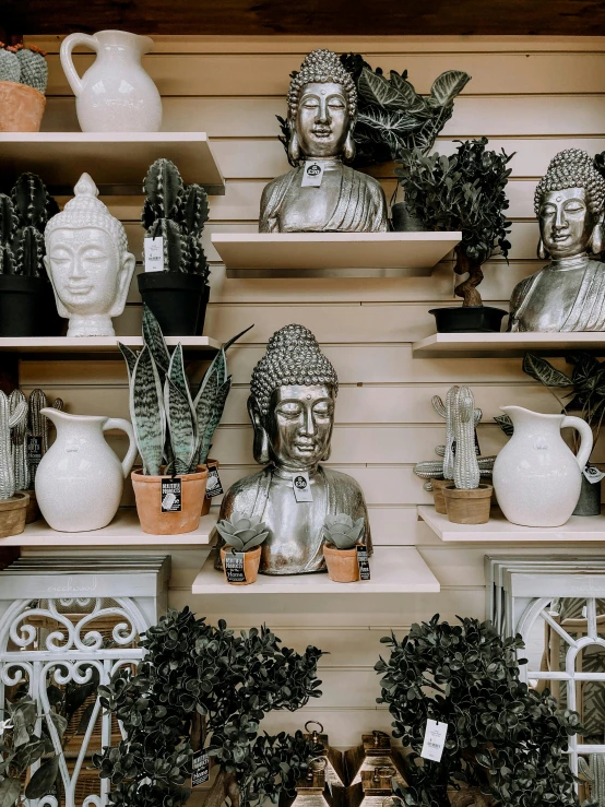 a shelf filled with lots of potted plants and statues, trending on unsplash, low quality photo, buddhist, face accessories, desert white greenhouse