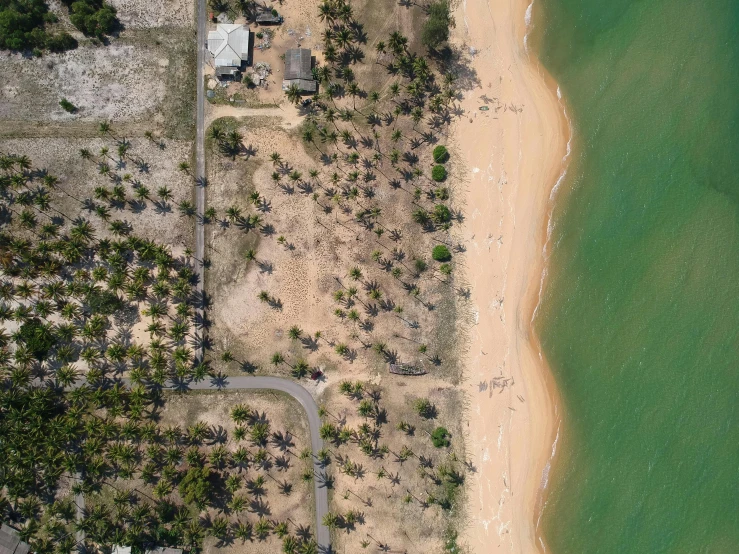 an aerial view of a beach next to a body of water, by Lee Loughridge, pexels contest winner, realism, dried palmtrees, 15081959 21121991 01012000 4k, thumbnail, deforested forest background