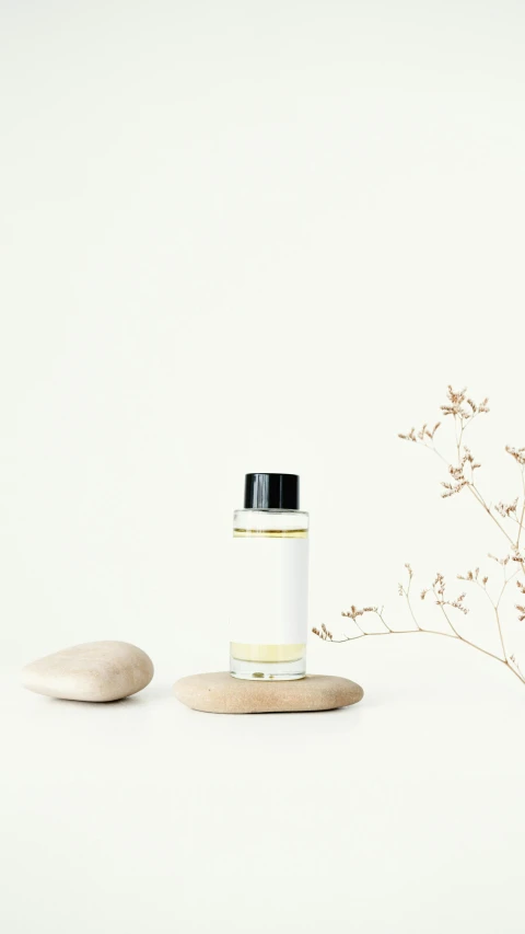 a bottle of perfume sitting on top of a table, inspired by Agnes Martin, minimalism, museum quality photo, thumbnail