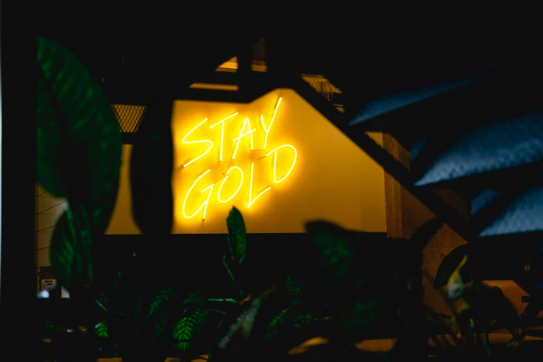 a neon sign that says stay gold on the side of a building, by Julia Pishtar, trending on unsplash, gold coast australia, gold silk, 🦩🪐🐞👩🏻🦳, gold leaf painting