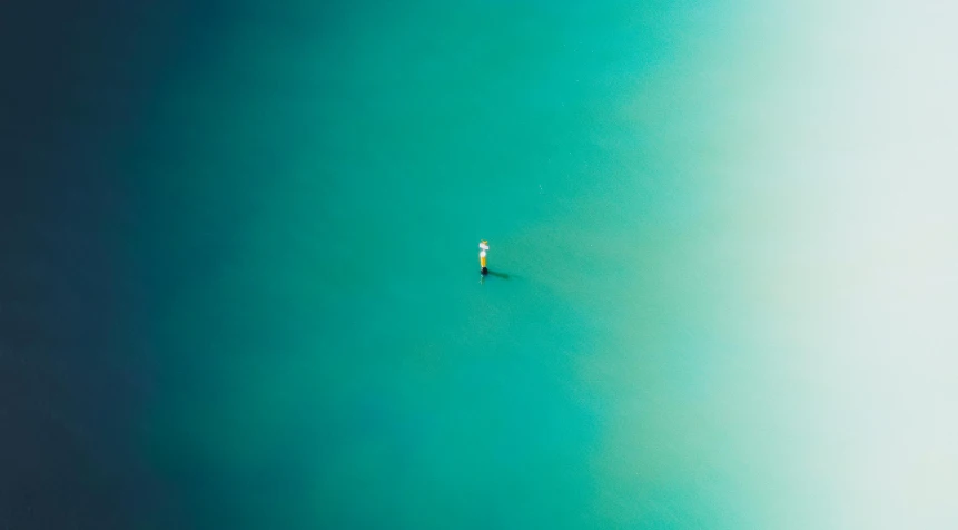 a lone bird flying over a body of water, by Matthias Weischer, unsplash contest winner, minimalism, teal suit, fisherman, viewed from bird's-eye, single light