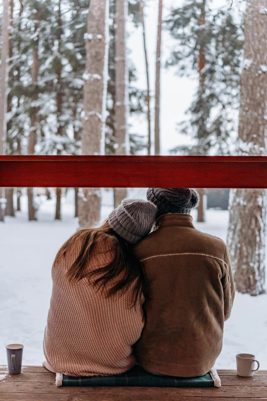 two people sitting on a bench looking out a window, by Jaakko Mattila, pexels contest winner, romanticism, in a snowy forest setting, red woods canopy love, over the shoulder view, kissing